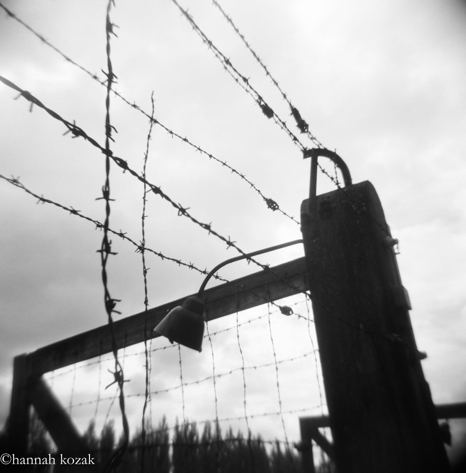 Art and Documentary Photography - Loading Hannah-Kozak---Dachau-May-5_-2017.jpg