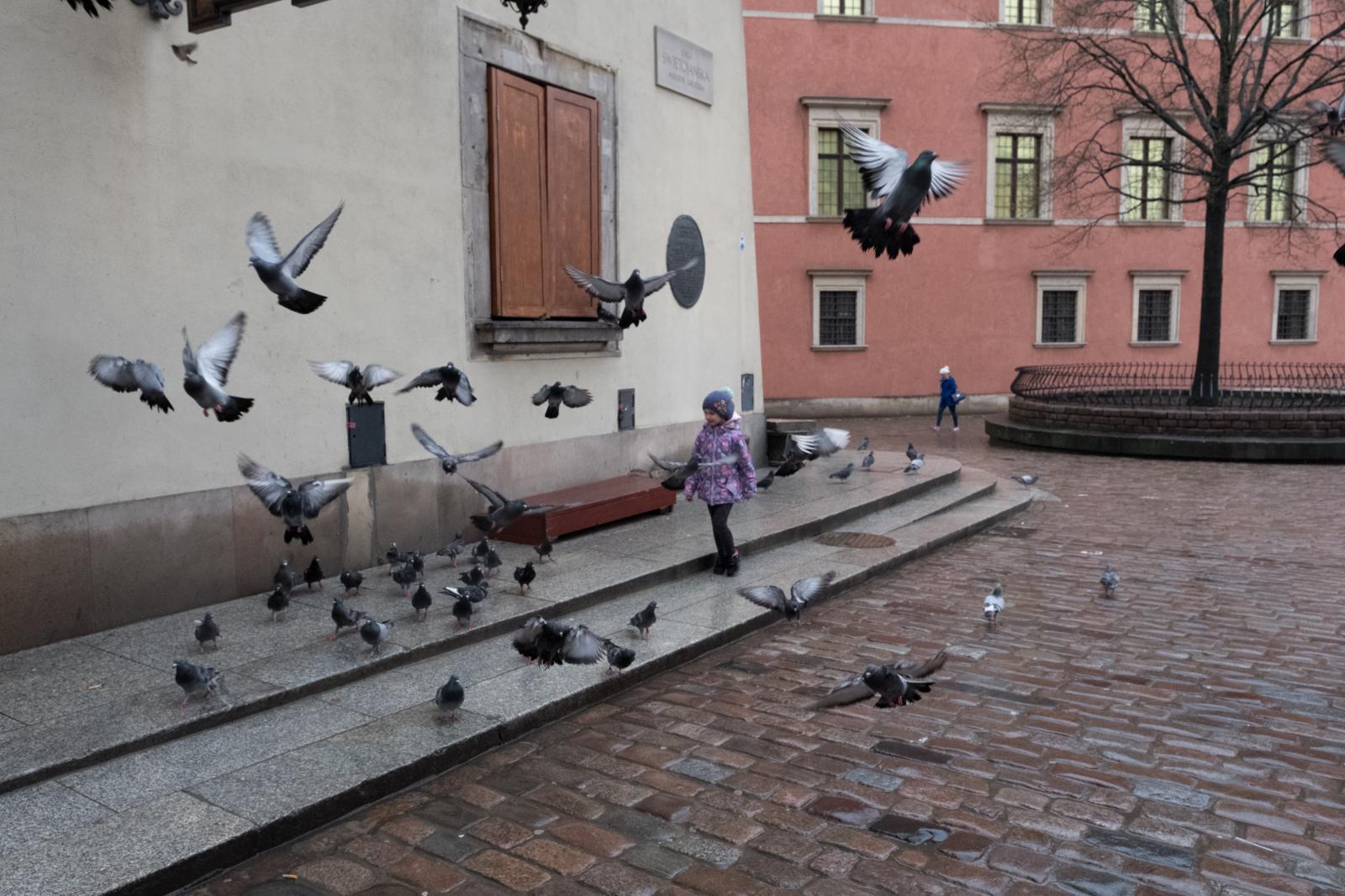 Child playing amongst Pigeons in Warsaw