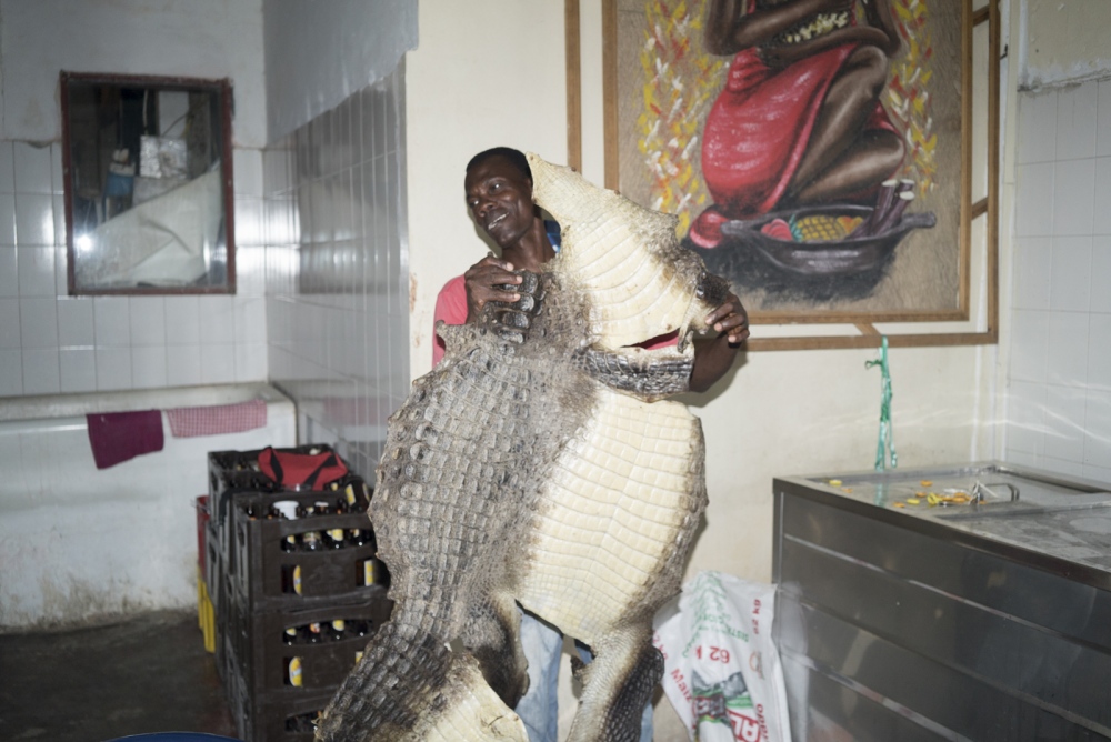 A man holds a crocodile skin at...in local cuisine in the region.