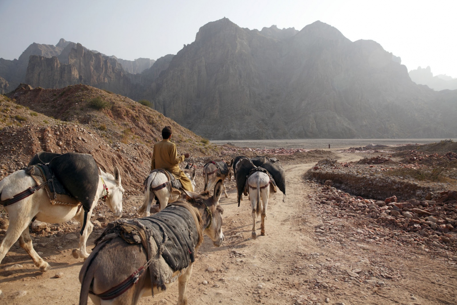 PAKISTAN'S SALT MINES -   Inside the remote Kalabagh salt mine donkey's are still...