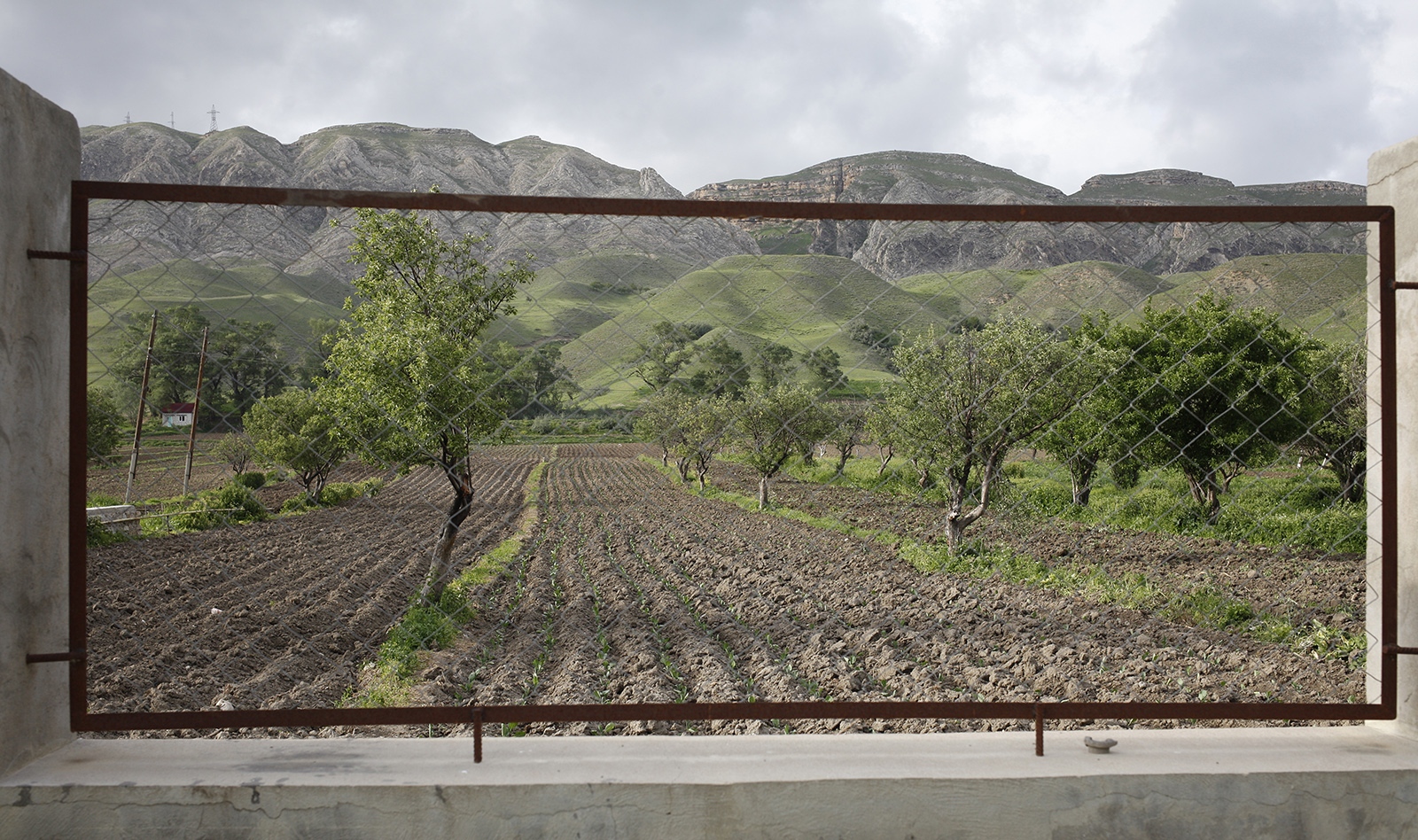 Art and Documentary Photography - Loading 07.jpg