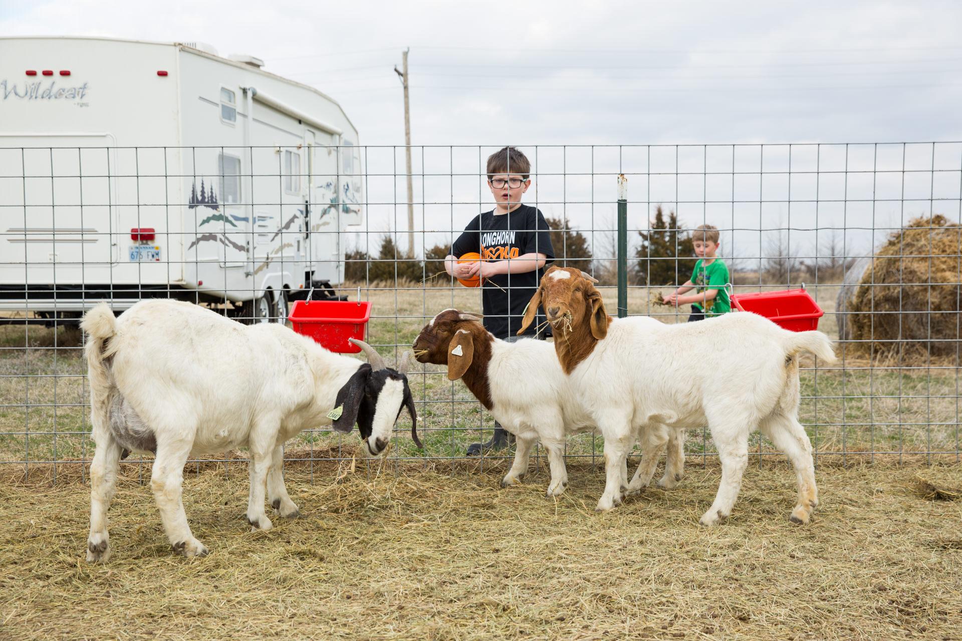 Robert Wood Johnson Foundation - Jake Knoll, 7, feeds the goats at his family's farm in...
