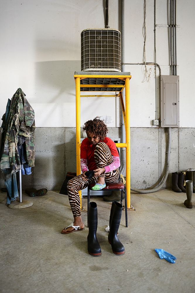 Welcome to Twin Falls, Idaho - Semhar Tesfay puts on boots before her shift milking cows.