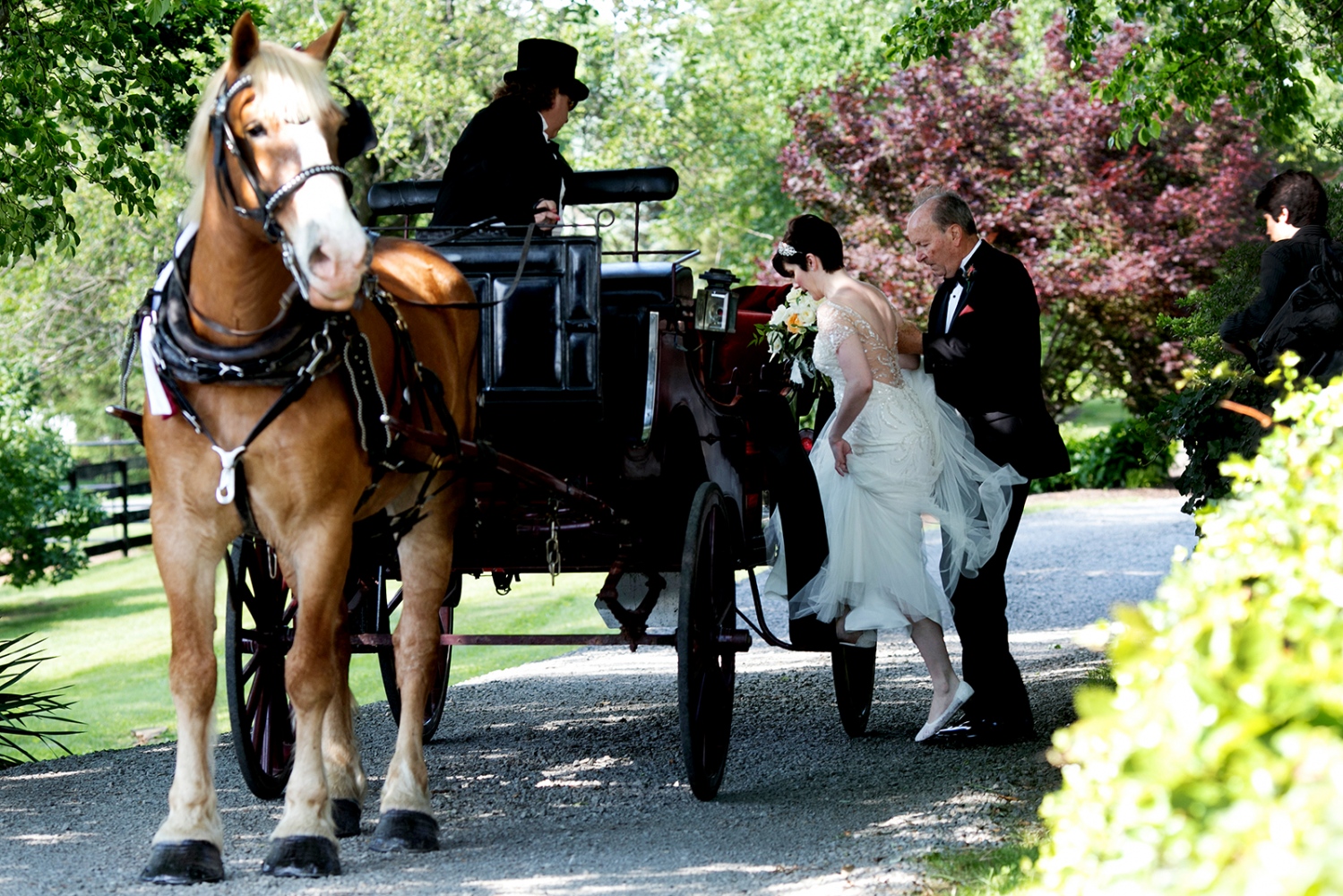 Country Wedding - 