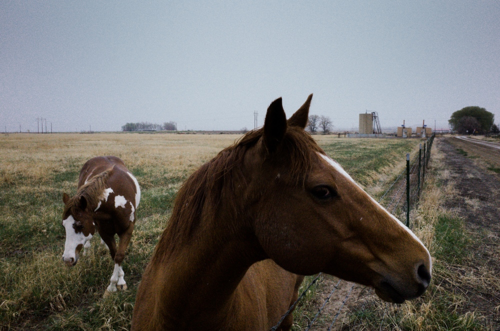  Louis Meeksâ€™ two horses are ...Wind River Indian Reservation. 