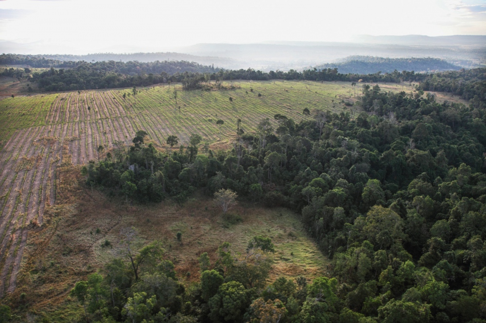 Large areas of forest logged to make way for plantations. Cardamom Forest,&nbsp; Cambodia