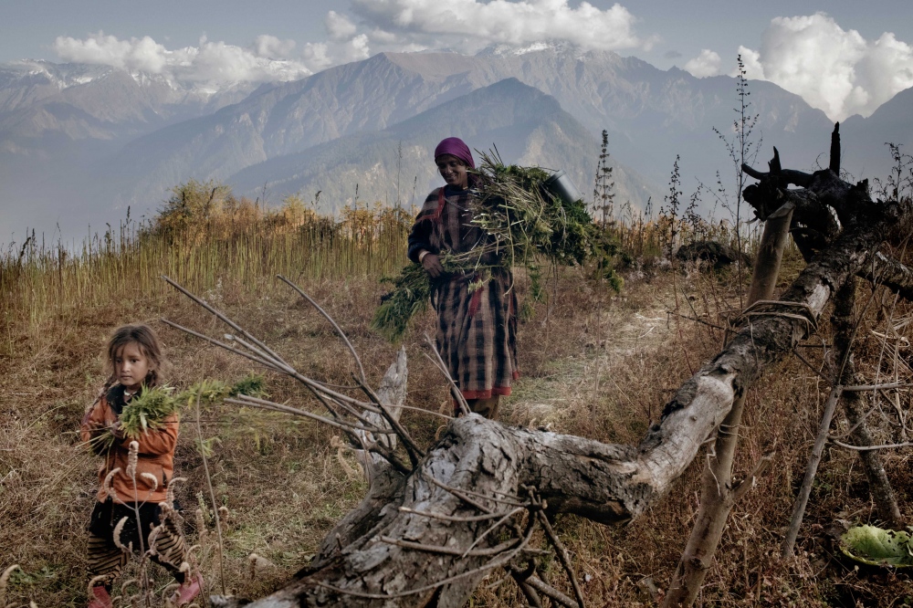 These Cannabis Farmers Carry Out an Ancient Tradition High in the Himalayas