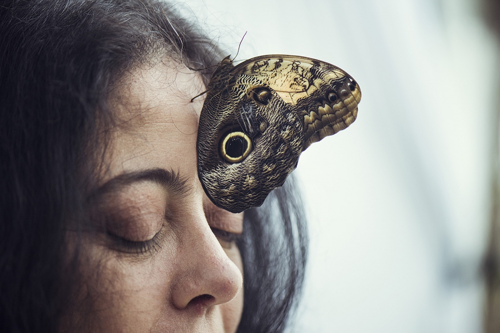 Donatella, butterflies breeder, close to Rome