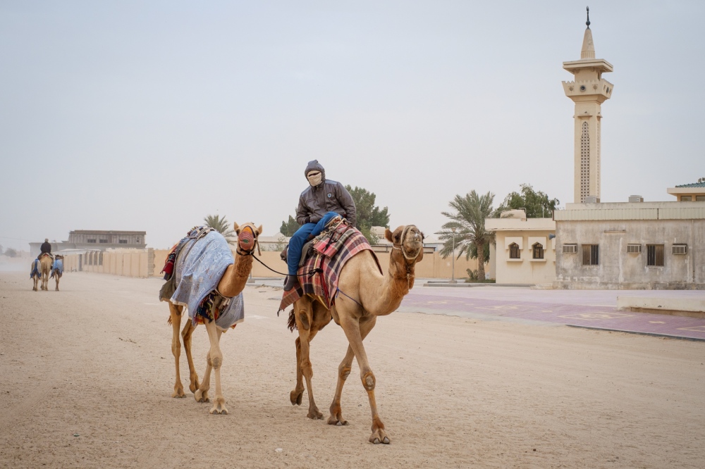 Al Shahaniya Camel Racetrack