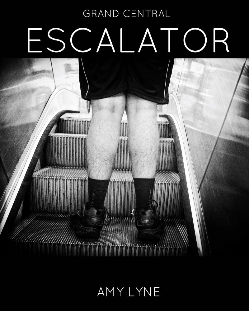 Grand Central Escalator -  Available at  Maxfield ,  Arcana Books ,  Book...