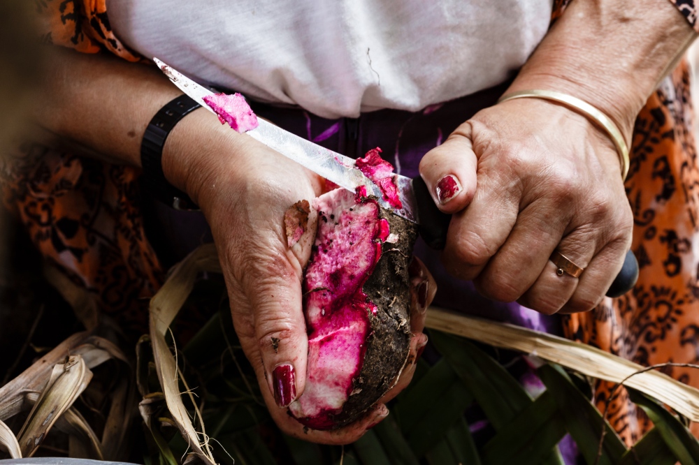 A Tongan woman cuts Hawaiian kumala.