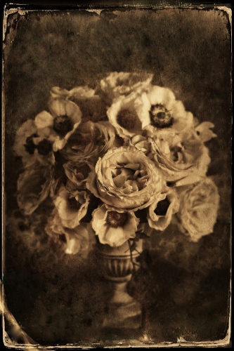 Image from STILL LIFE/COLLAGE