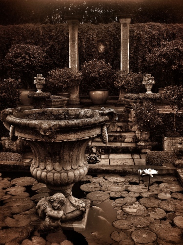 Image from GARDENS