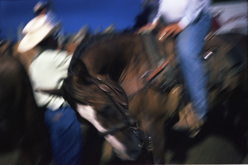 Rodeo - 