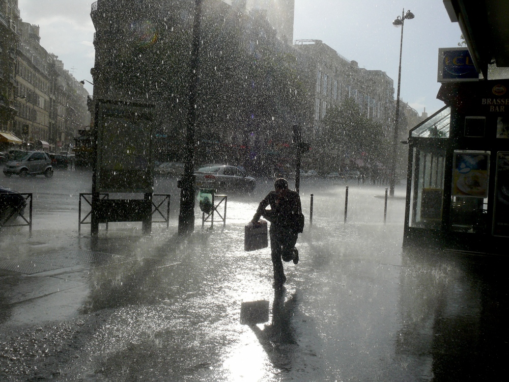 Paris, August 2008. One image at Boulevard Saint Germain.