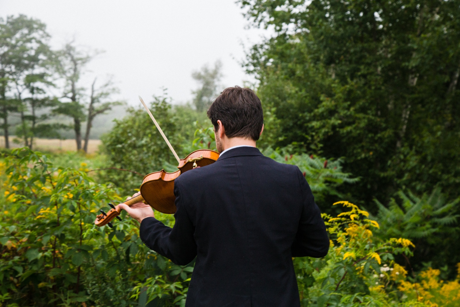 Bay Chamber Concerts '15 - 