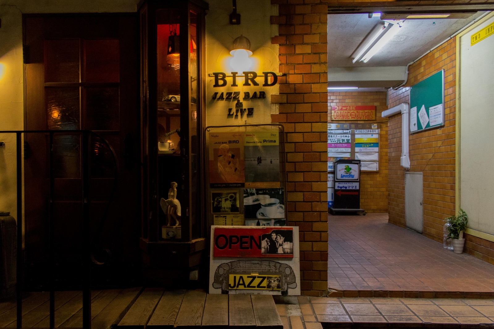 Bar Bird - 