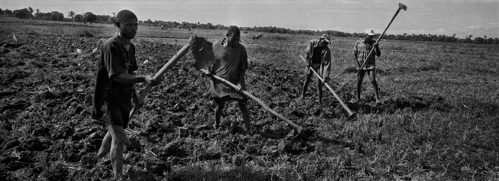 Art and Documentary Photography - Loading ___photo_Juan_Carlos_Haiti_0012.jpg