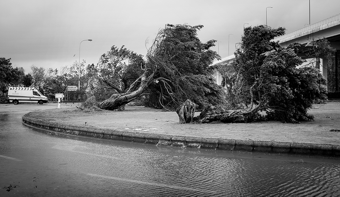 Art and Documentary Photography - Loading Hato_03.jpg
