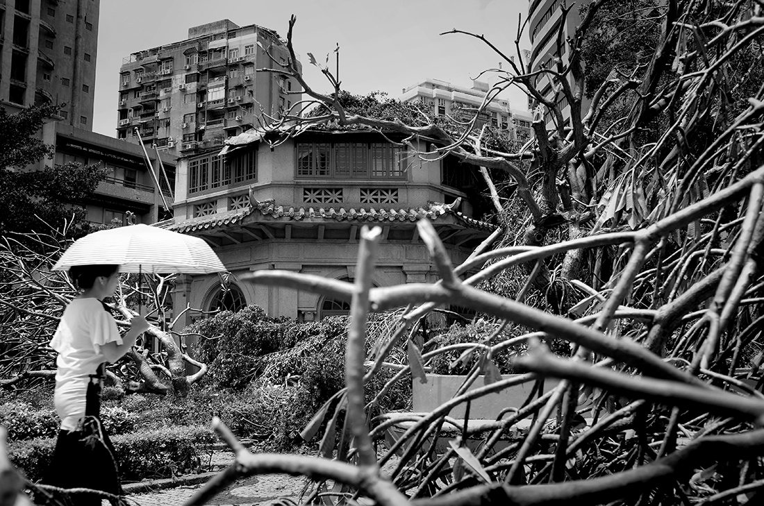 Art and Documentary Photography - Loading Hato_06.jpg