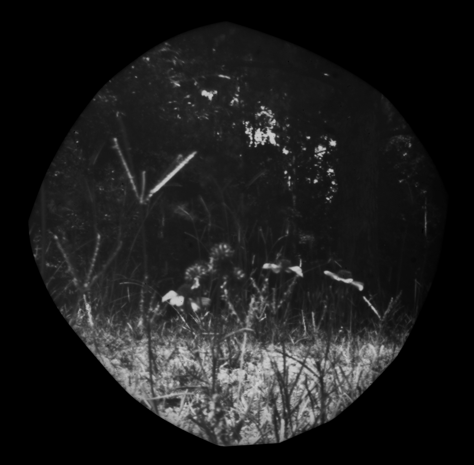 Art and Documentary Photography - Loading 7.14.17.jpg