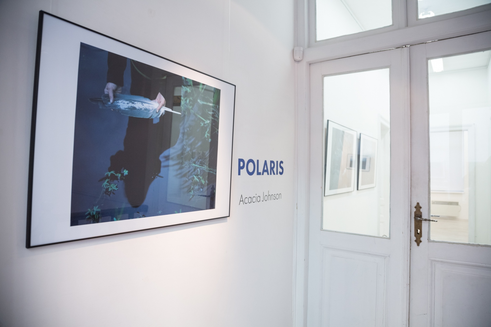 INSTALLATIONS - Polaris Solo Exhibition Gallery Synthesis, Sofia,...