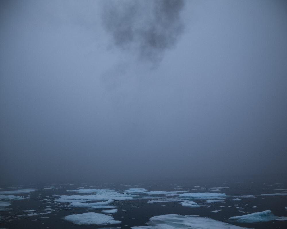 Off the northern coast of Baffi...er the sea ice.Â Nunavut, 2014.