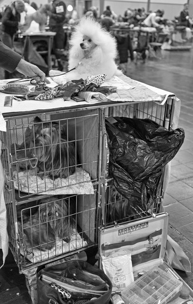 Art and Documentary Photography - Loading 171108111852_SW.jpg