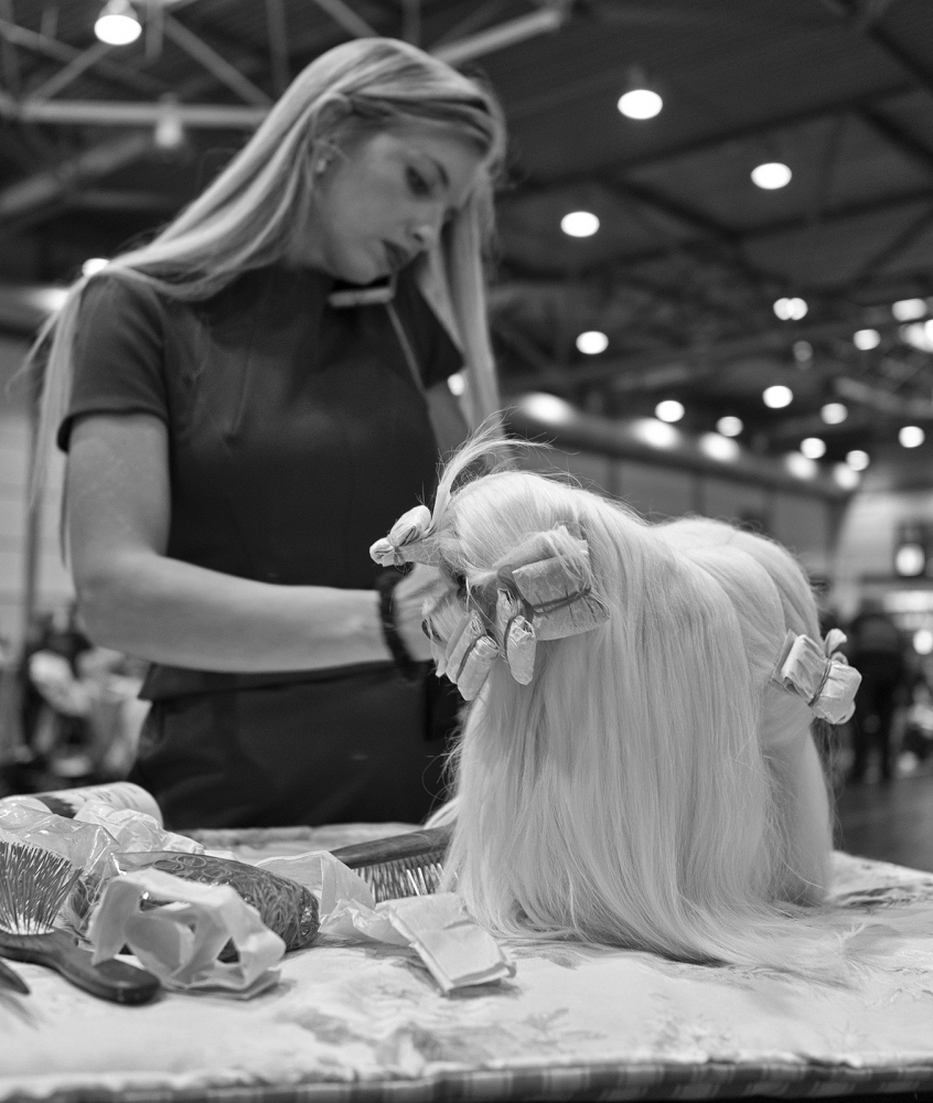 Art and Documentary Photography - Loading 171110130948_SW.jpg