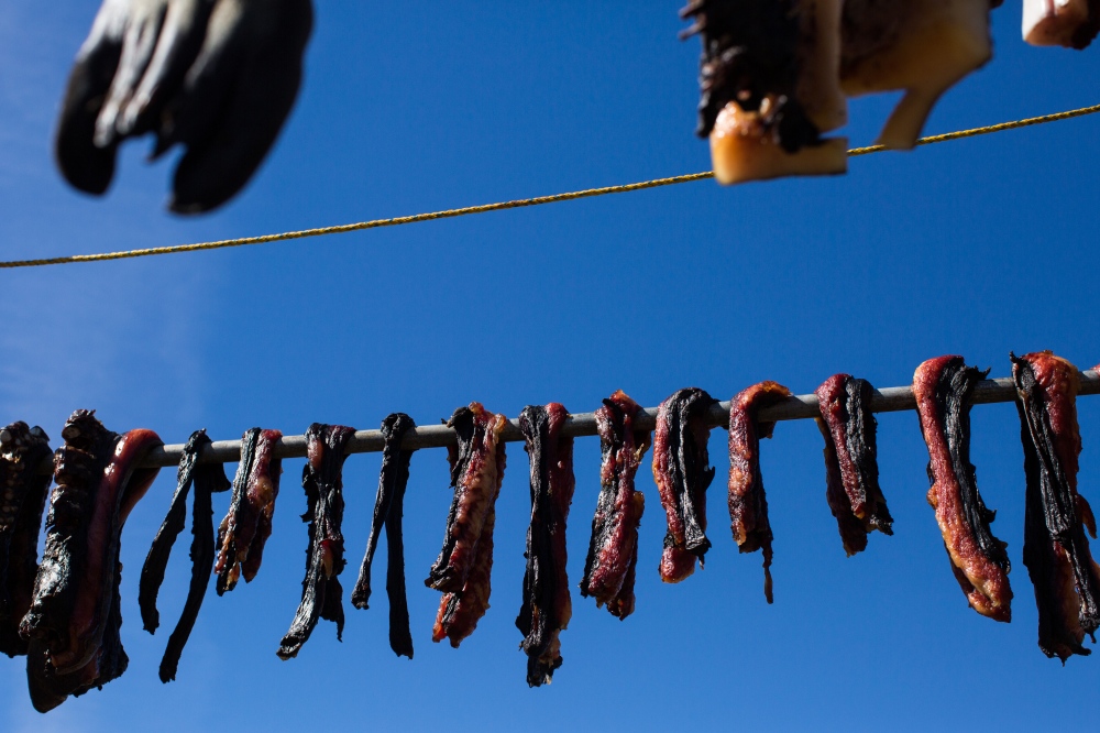 Meat, mostly walrus, hangs from a rack outside of the Apassingok home. Chris is considered a gifted hunter among his family members and community.