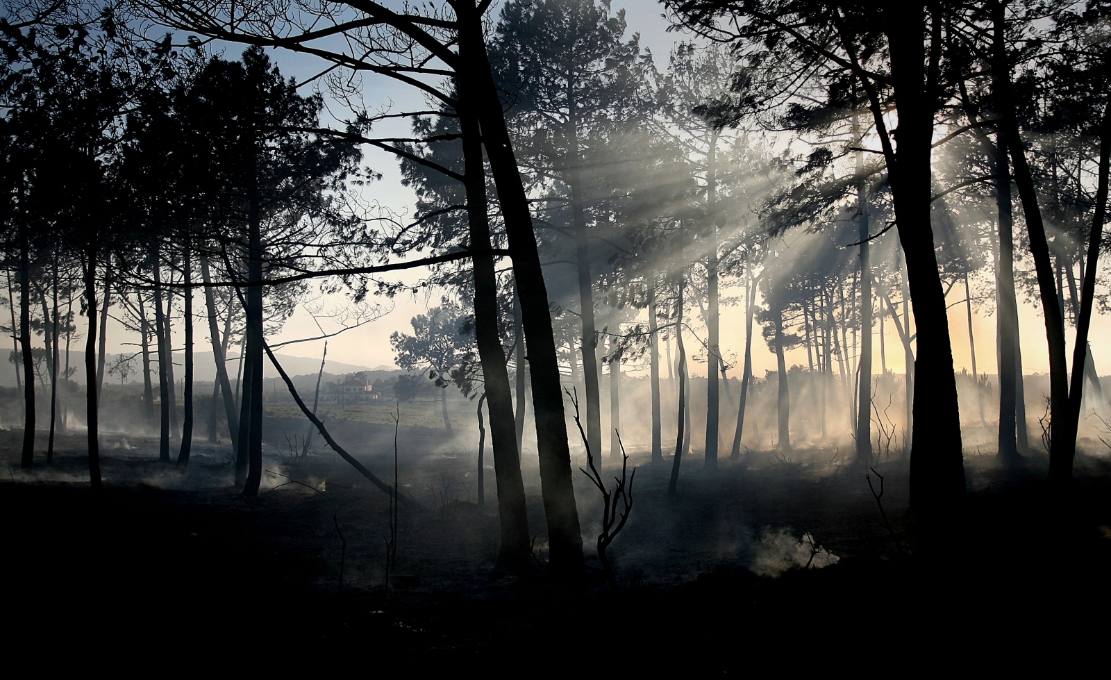 Wildfire in Sintra - 