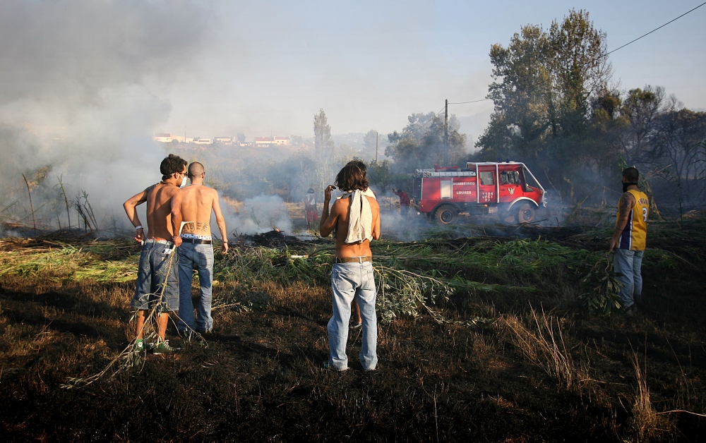 Wildfire in SIntra