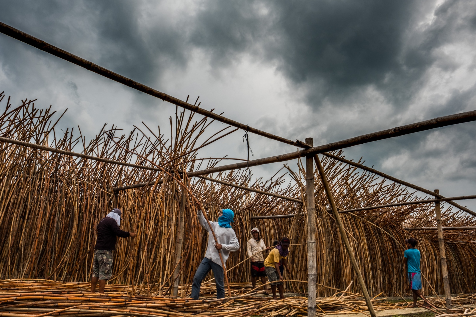 Art and Documentary Photography - Loading JHOUSTON_170726_02704.jpg