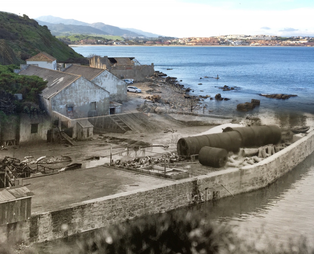 Thumbnail of Whaling Stations of the Iberian Peninsula: Now and then.