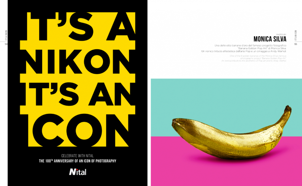 Nikon 100 anniversary Banana Golden Pop Art 
