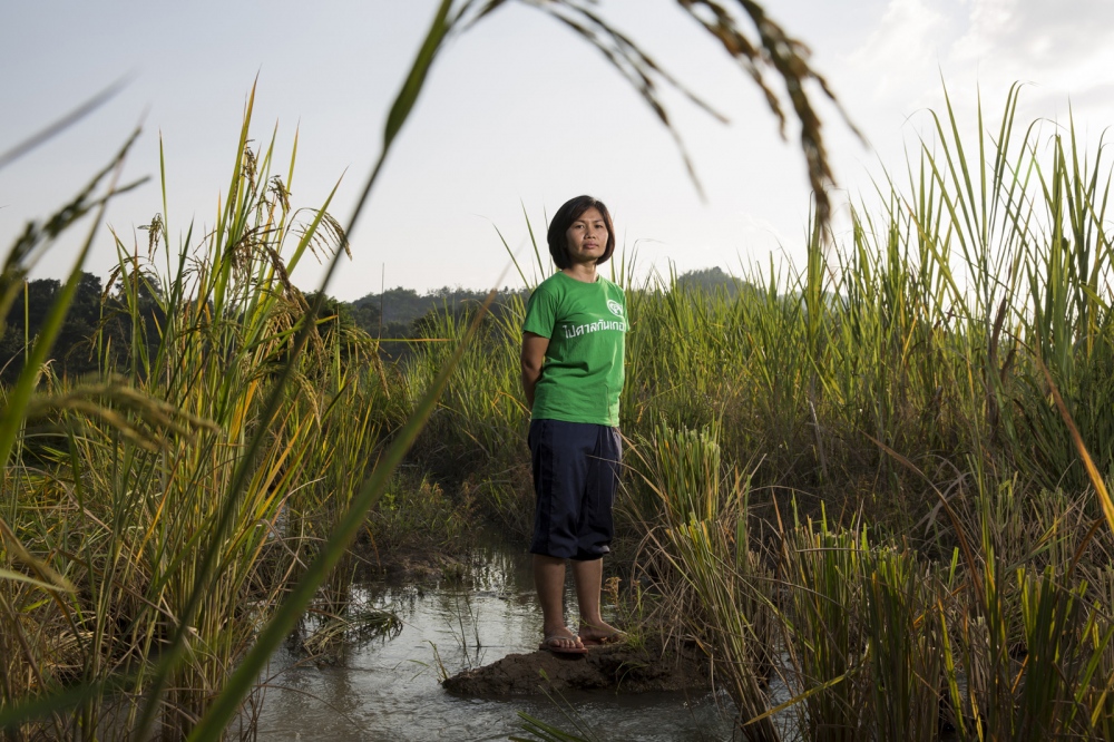 Patanaporn Kengchamba stands in a rice paddy in the village of Na Nong Bong in Loei Provinces Wangsapung District. The mountains behind her are the location of a gold mine that the villagers allege continues to contaminate their water supply and affect their crops.  Loei Province, Thailand  