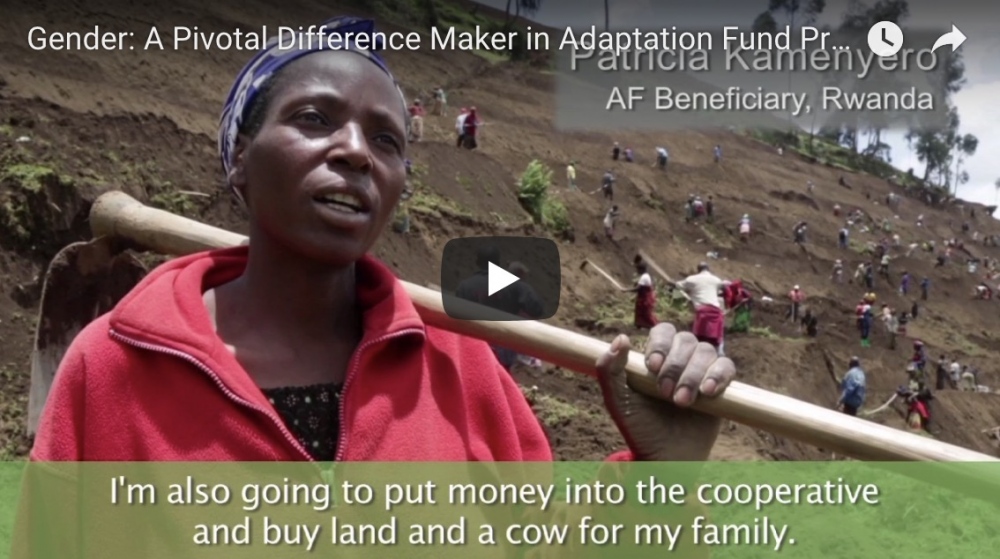Gender in Adaptation Fund Projects