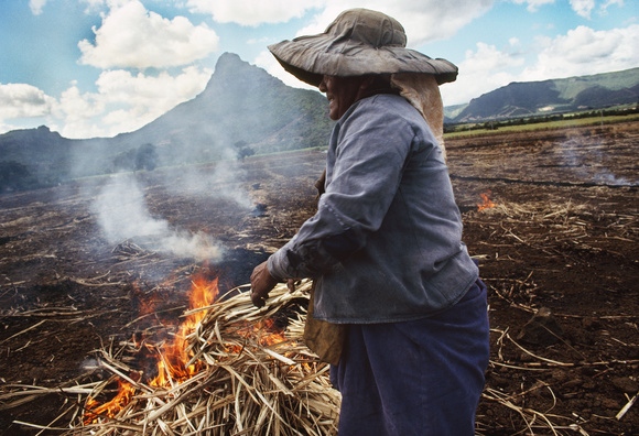 Mauritius - Harvest over, a cane worker burns straw to make way for...