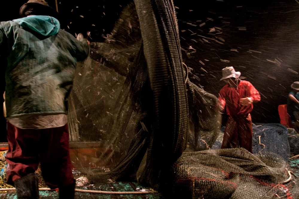 Cambodian fishermen empty a large trawler net that has been dragged all night catching everything...