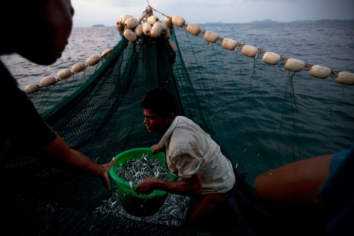 EMPTYING THE SEAS - Burmese fishermen working all night on a Thai trawler...