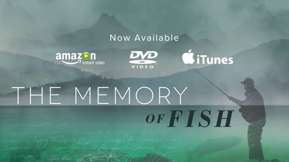 Watch the trailer: The Memory of Fish 