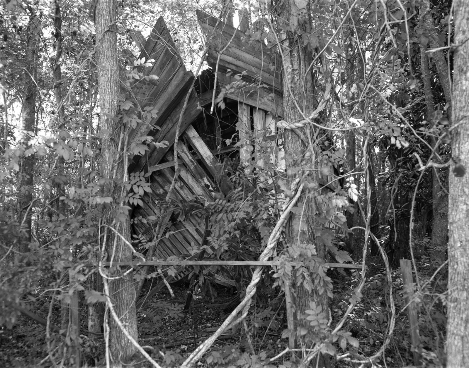 Art and Documentary Photography - Loading BoatBeaufort11.26.17.jpg