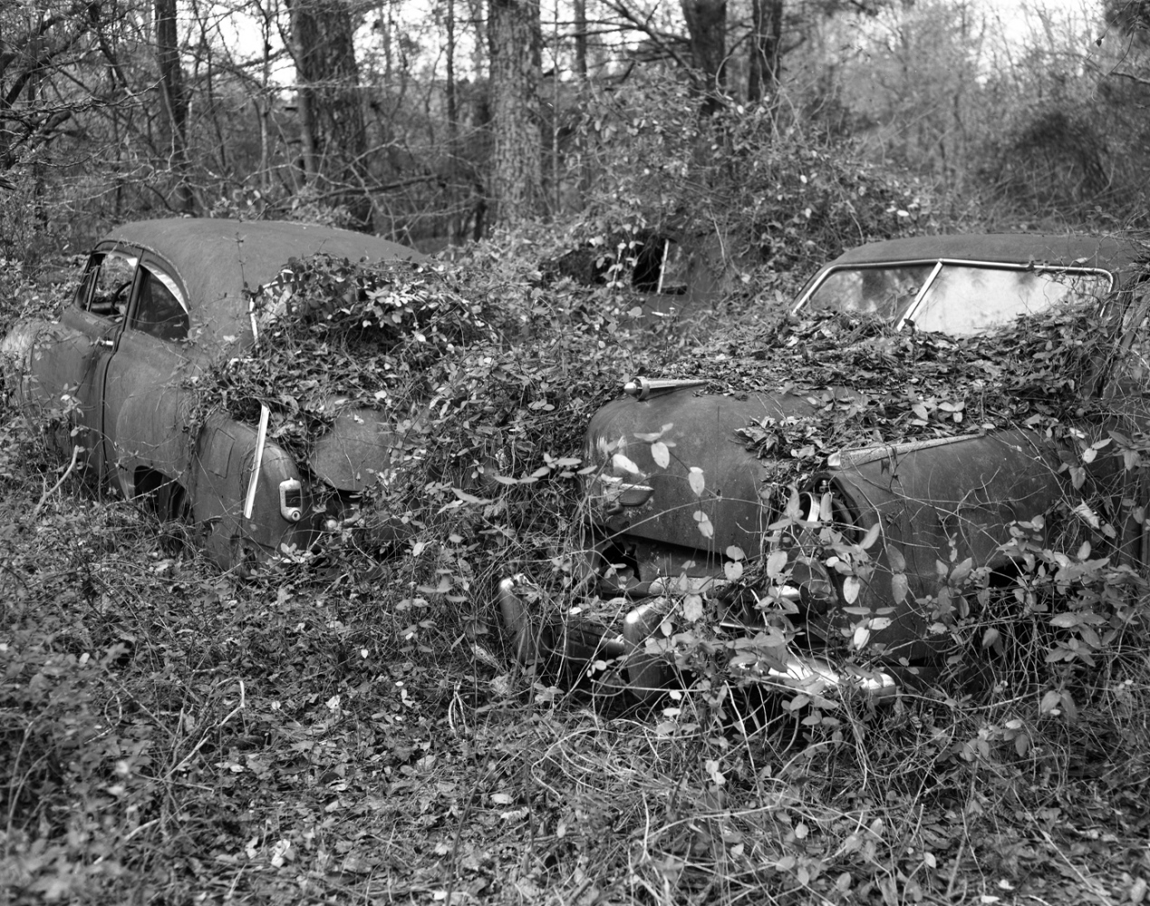 Art and Documentary Photography - Loading OldCarCityTwoBodies12.7.17.jpg