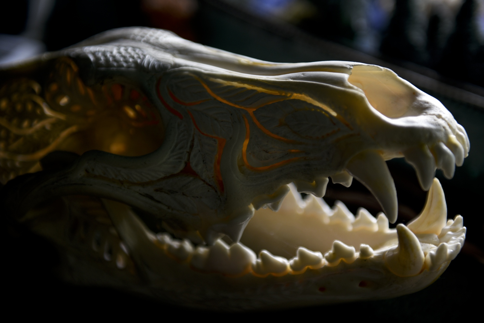 Freedom Cove -  A wolf skull carving, a piece made by Wayne Adams, is...