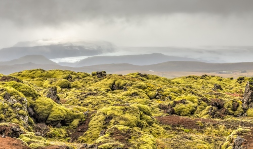 Iceland, the road to Hí¶fn. - 