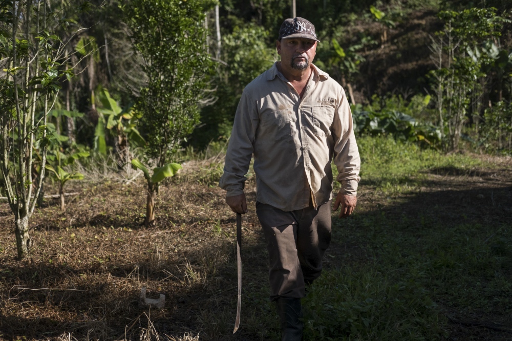 Coffee Farmers and their struggle to keep the coffee alive
