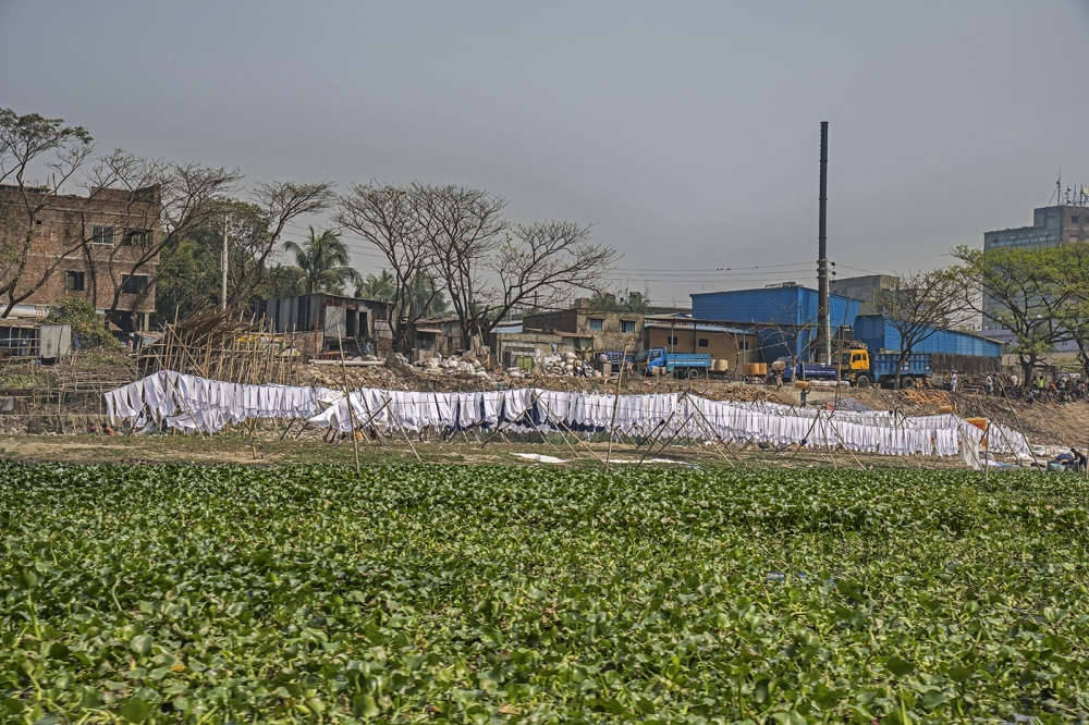 Overgrowth of Water Hyacinths i...Effluent from Textile Operatios