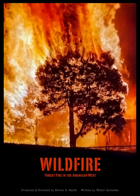 WILDFIRE, Forest Fires In The American West