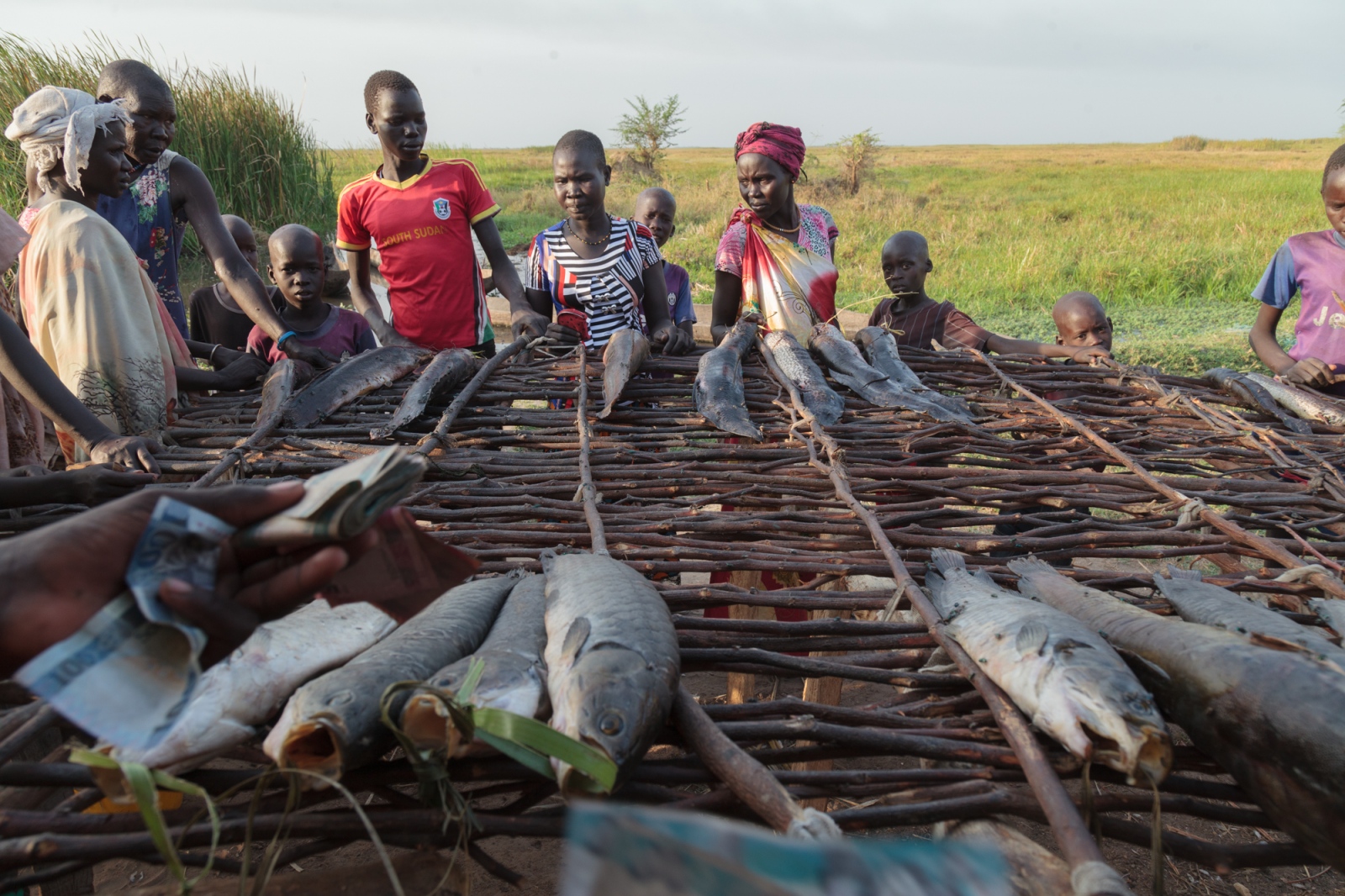 South Sudan other war