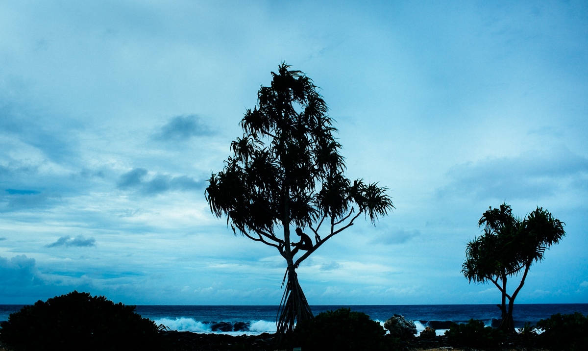 Home - A young man sits alone in a tree at the end of Funafuti